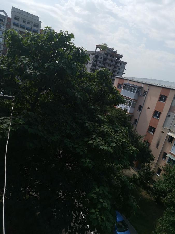 Bloom Box Apartments Craiova Ngoại thất bức ảnh