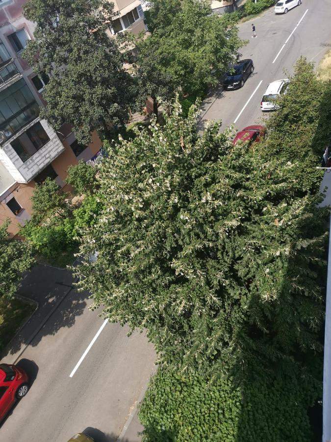 Bloom Box Apartments Craiova Ngoại thất bức ảnh