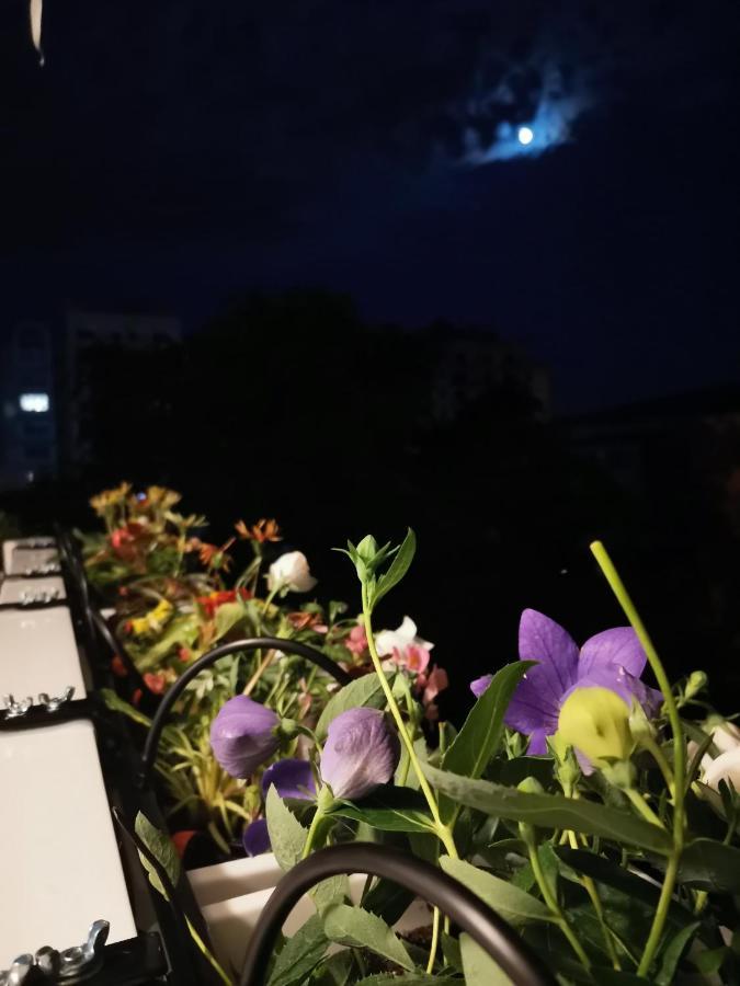 Bloom Box Apartments Craiova Ngoại thất bức ảnh